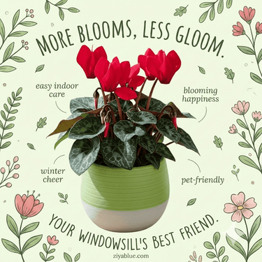 2.5" Cyclamen in Self Watering Pot - Ziya Blue