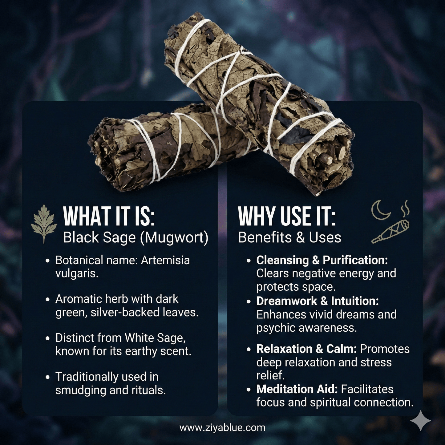 4" Black Sage Smudge Stick – Salvia Mellifera for Visioning & Cleansing - Ziya Blue