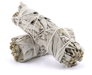 4" California White Sage Stick - Ziya Blue
