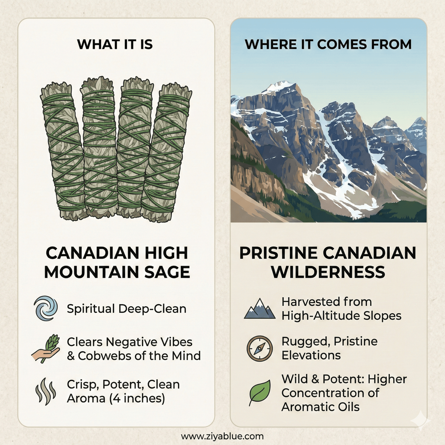 4" Canadian High Mountain Sage – The "Total Reset" Smudge Stick - Ziya Blue