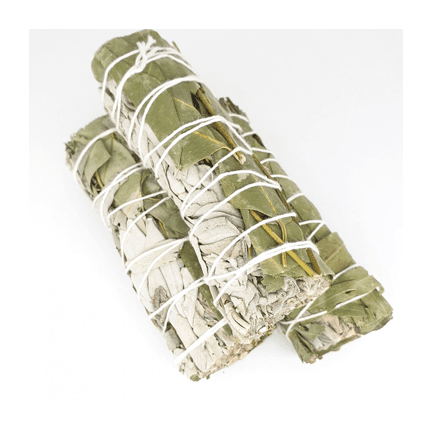 4" Eucalyptus White Sage Organic Smudge Sticks 🌿✨ - Ziya Blue