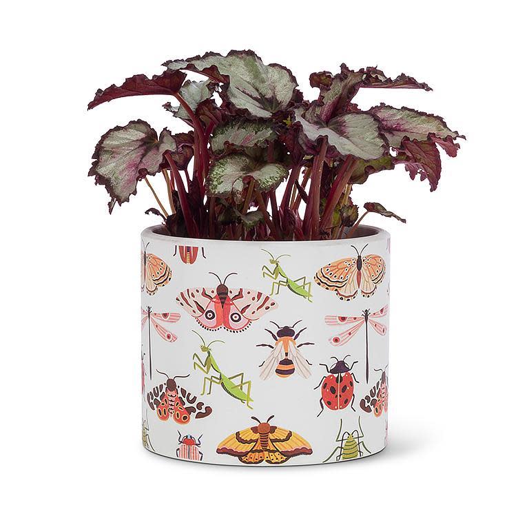 4.5" All Over Bugs Planter - Ziya Blue
