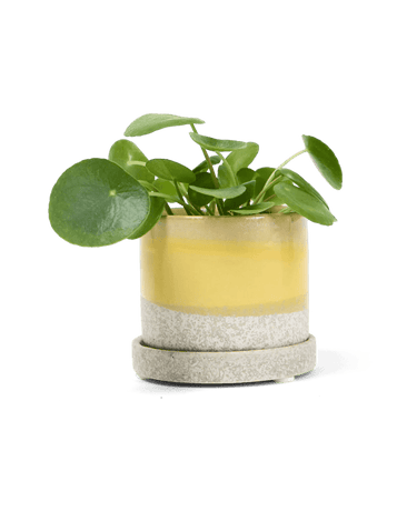 5" Minute Pot - Ziya Blue