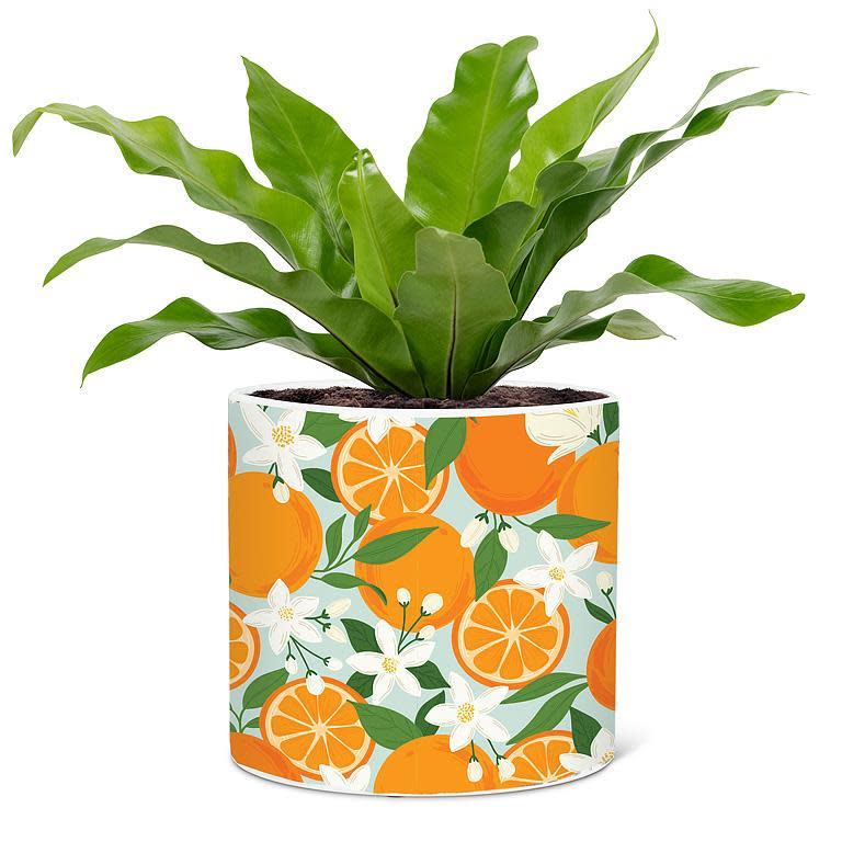 6.5" Orange & Blossom Planter - Ziya Blue