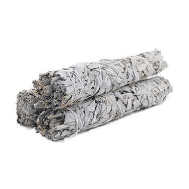 9" California White Sage Stick - Ziya Blue