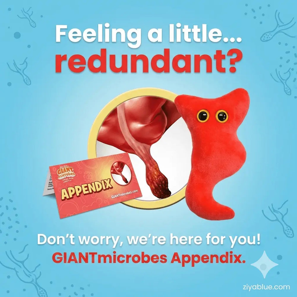 Appendix Plush – GIANTmicrobes Anatomically Accurate Anatomy Toy - Ziya Blue