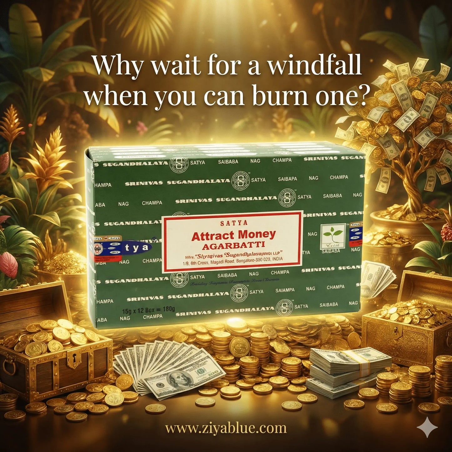 Attract Money Incense Sticks (15 g) 💵✨ Designs by Deekay Inc.