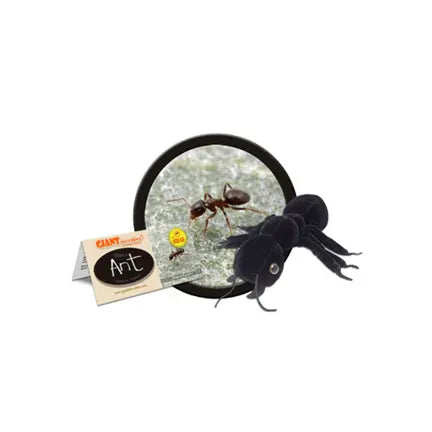 Black Ant (Lasius niger) Plush - Ziya Blue