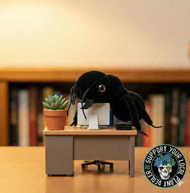 Black Ant (Lasius niger) Plush - Ziya Blue