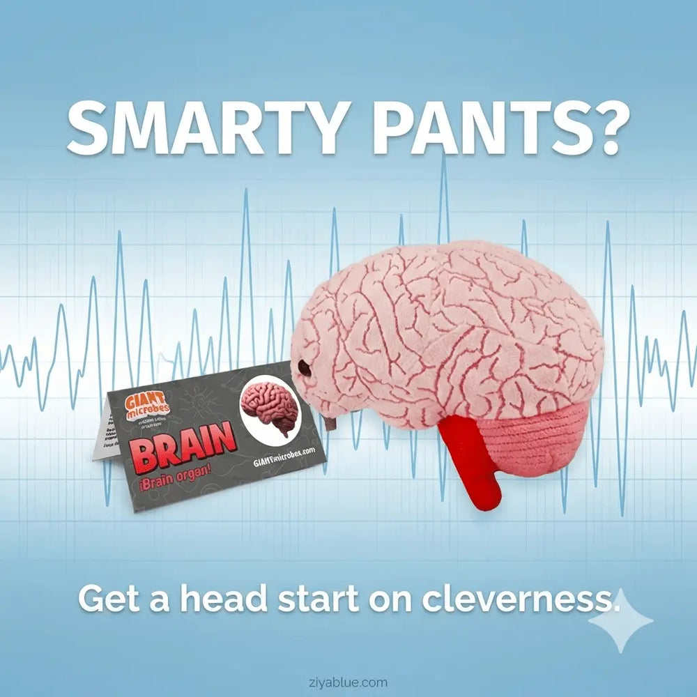 Brain Plush – GIANTmicrobes Anatomically Accurate Neuroscience Toy - Ziya Blue