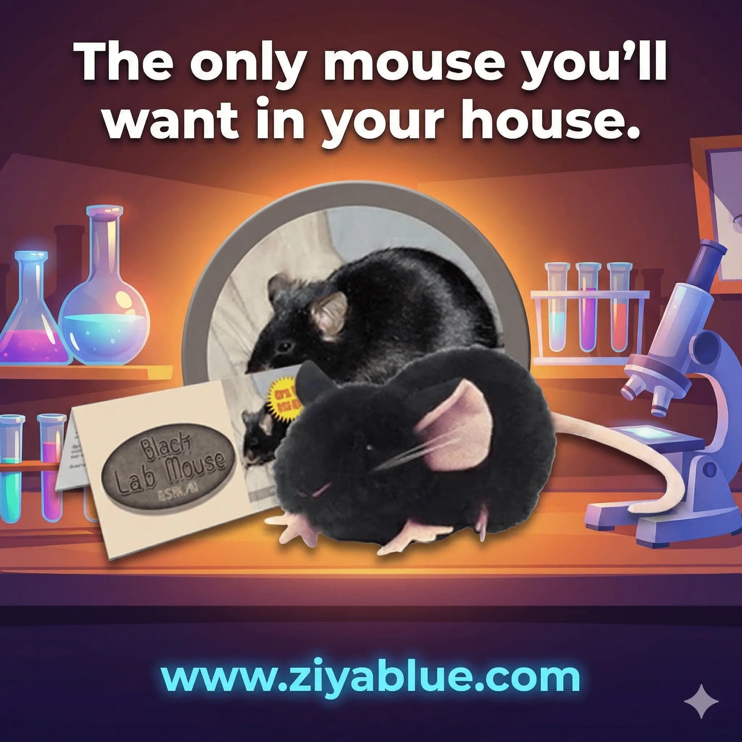 GIANTmicrobes Black Lab Mouse Plush – Science Toy (Dark Mode) - Ziya Blue