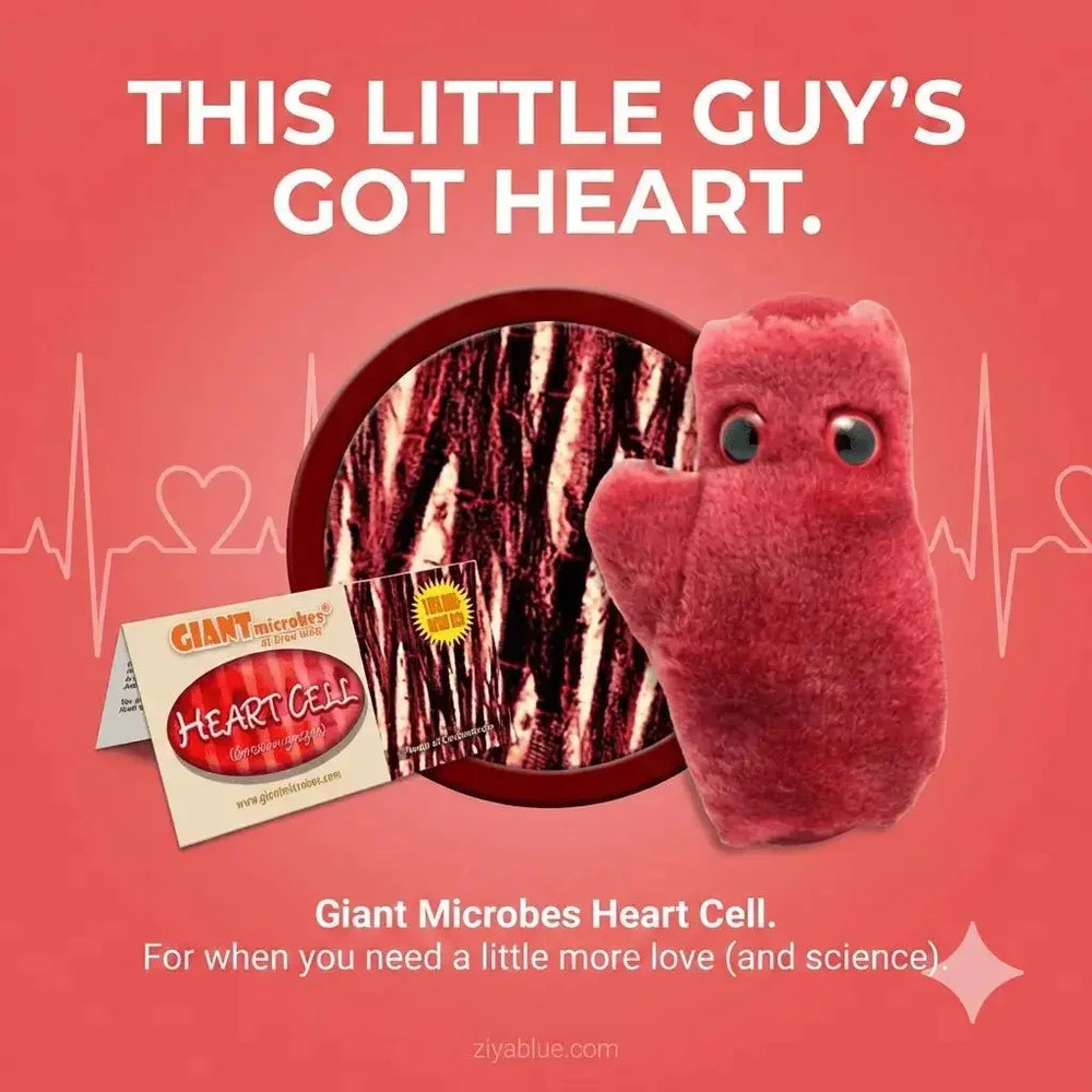 GIANTmicrobes Heart Cell Plush (With Sound) – Cardiomyocyte Toy (Listen To Your Heart) - Ziya Blue