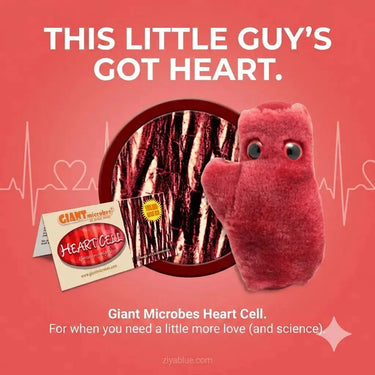 GIANTmicrobes Heart Cell Plush (With Sound) – Cardiomyocyte Toy (Listen To Your Heart) - Ziya Blue