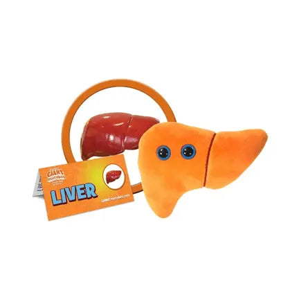 GIANTmicrobes Liver Plush | 7-9" Anatomy Toy – The Ultimate Detox Hero - Ziya Blue