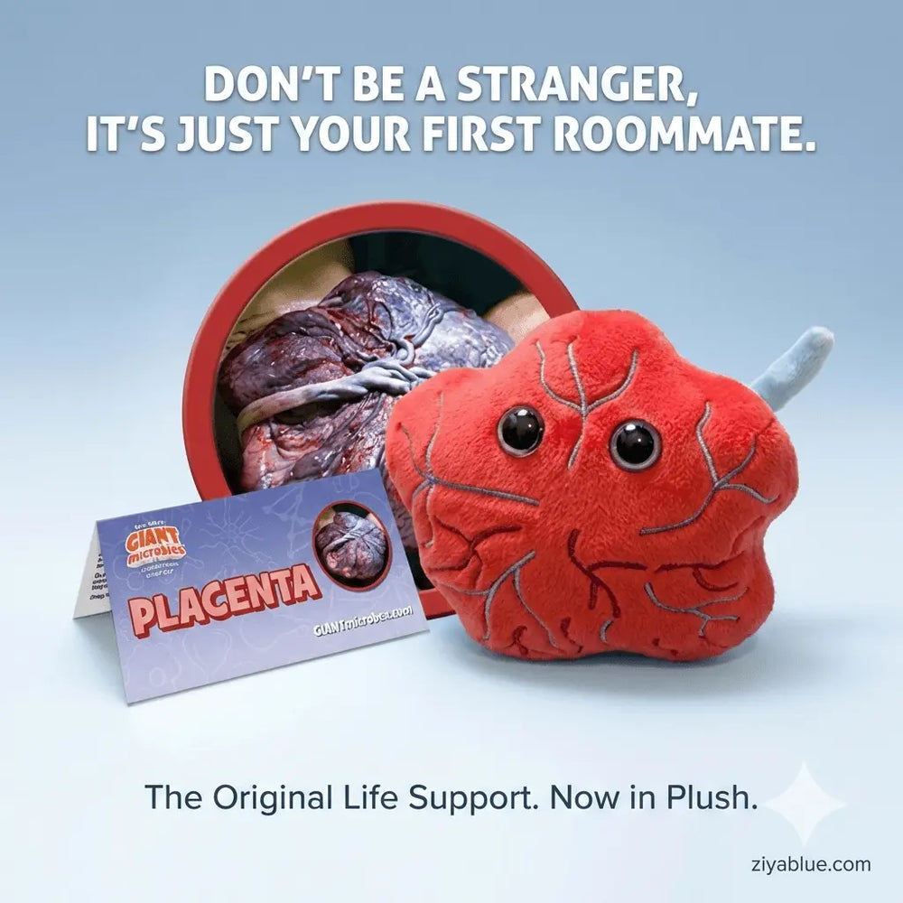 GIANTmicrobes Placenta Plush | 5" Anatomy Toy – The Ultimate Support System - Ziya Blue