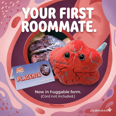 GIANTmicrobes Placenta Plush | 5" Anatomy Toy – The Ultimate Support System - Ziya Blue