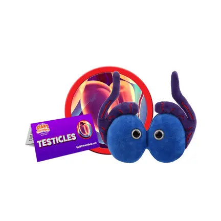 GIANTmicrobes Testicles Plush – Anatomy Toy (It Takes Balls) - Ziya Blue
