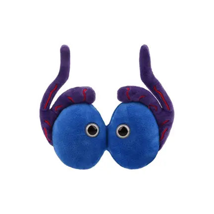 GIANTmicrobes Testicles Plush – Anatomy Toy (It Takes Balls) - Ziya Blue