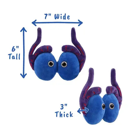 GIANTmicrobes Testicles Plush – Anatomy Toy (It Takes Balls) - Ziya Blue