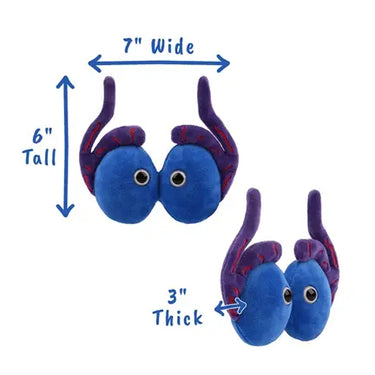 GIANTmicrobes Testicles Plush – Anatomy Toy (It Takes Balls) - Ziya Blue
