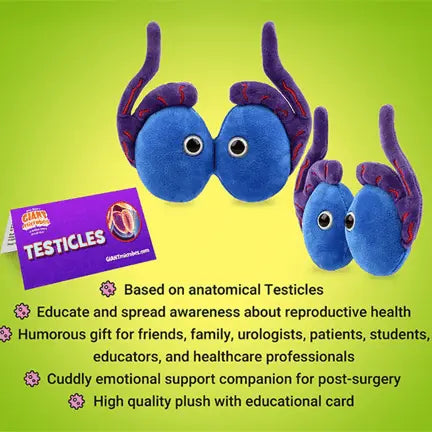 GIANTmicrobes Testicles Plush – Anatomy Toy (It Takes Balls) - Ziya Blue