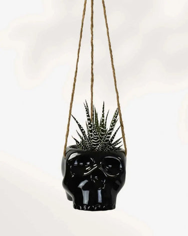 Haunted Skull Hanging Planter — 3" Ceramic - Ziya Blue