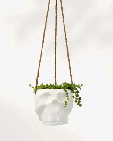 Haunted Skull Hanging Planter — 3" Ceramic - Ziya Blue