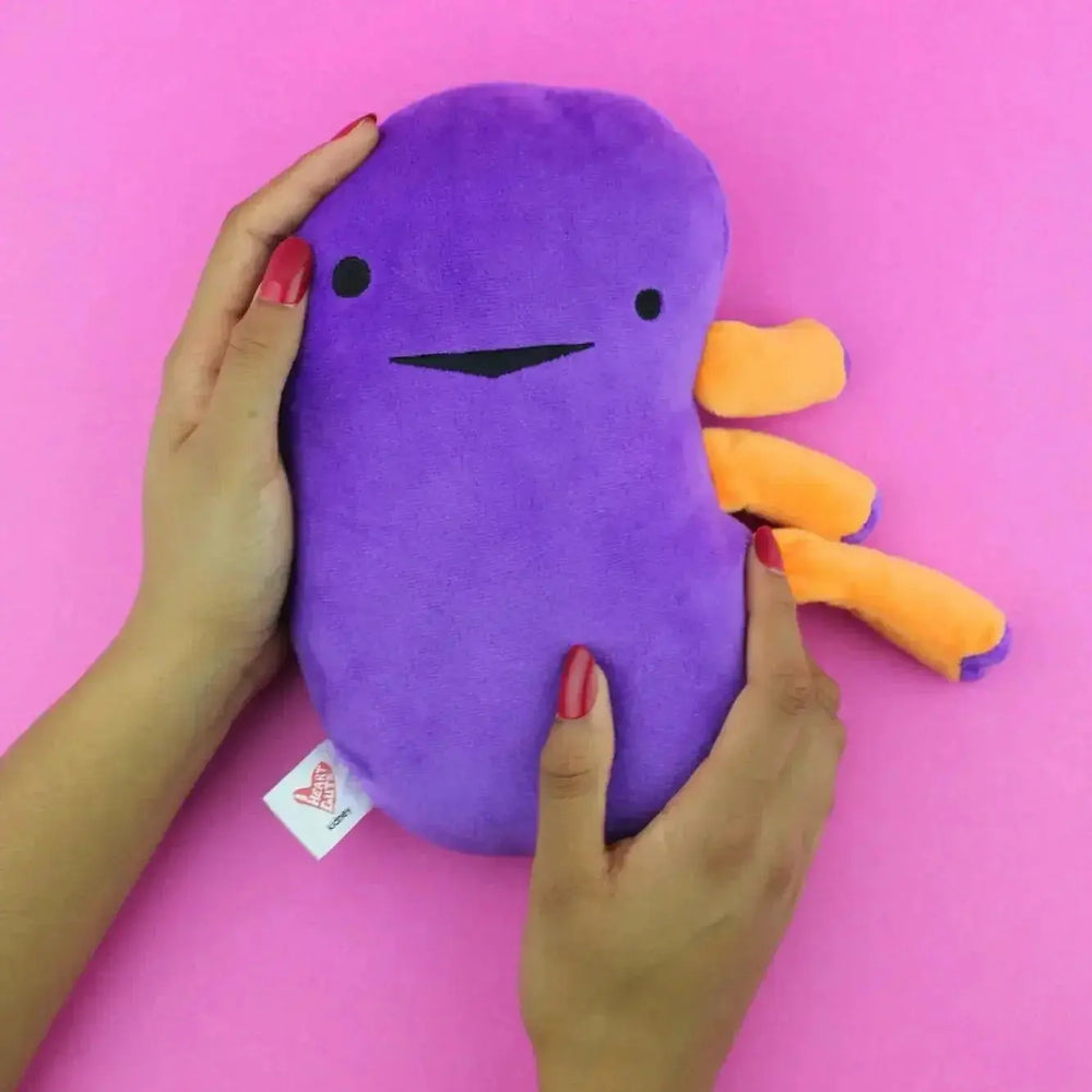 Kidney Plushie | Funny Organ Pillow & Post-Op Recovery Gift I Heart Guts Ziya Blue