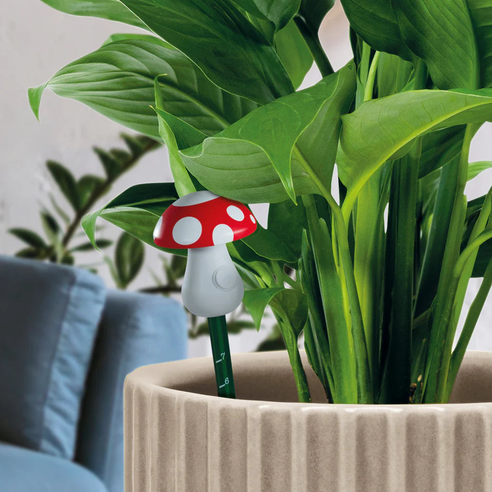 Mushroom Moisture Meter - Ziya Blue