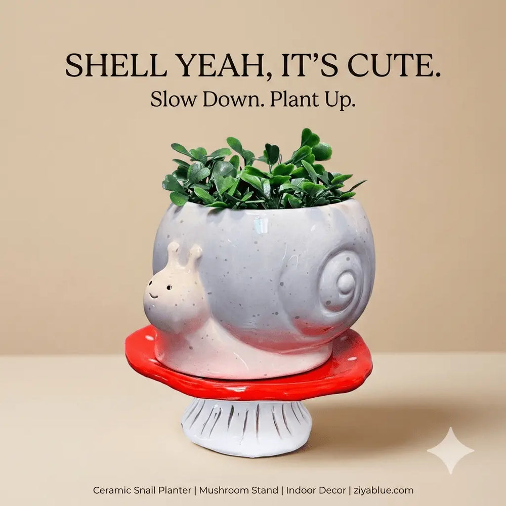 Snail & Mushroom Footsie Planter – Ceramic Pot with Drainage (Slow Growth) Streamline