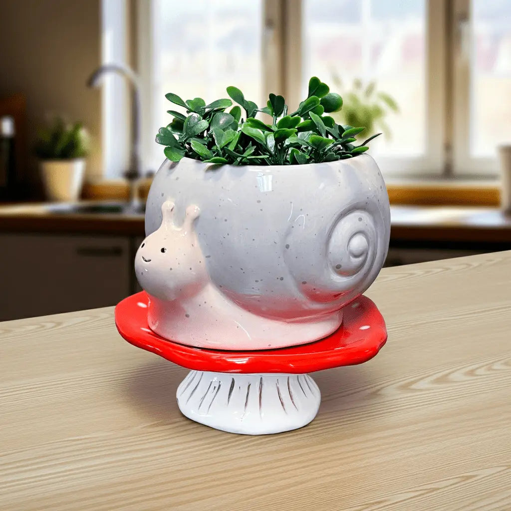 Snail & Mushroom Footsie Planter – Ceramic Pot with Drainage (Slow Growth) - Ziya Blue