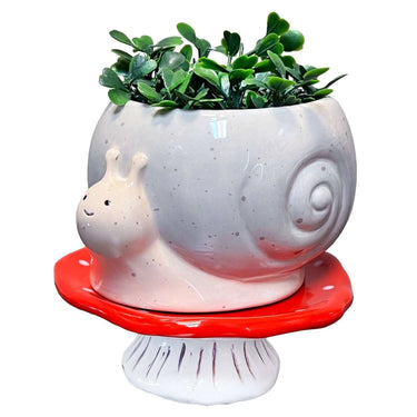 Snail & Mushroom Footsie Planter – Ceramic Pot with Drainage (Slow Growth) - Ziya Blue