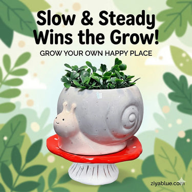 Snail & Mushroom Footsie Planter – Ceramic Pot with Drainage (Slow Growth) - Ziya Blue