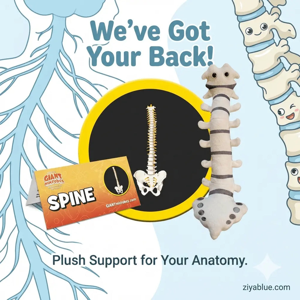 Spine Plush | GIANTmicrobes Vertebral Anatomy Toy - Ziya Blue