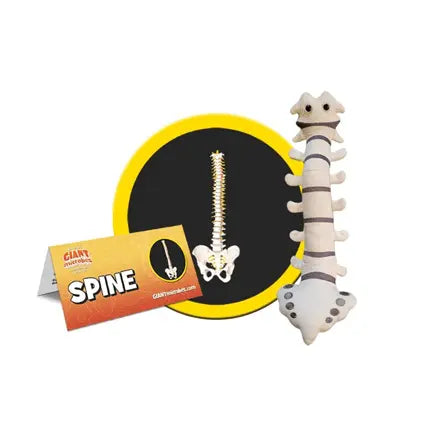 Spine Plush | GIANTmicrobes Vertebral Anatomy Toy - Ziya Blue