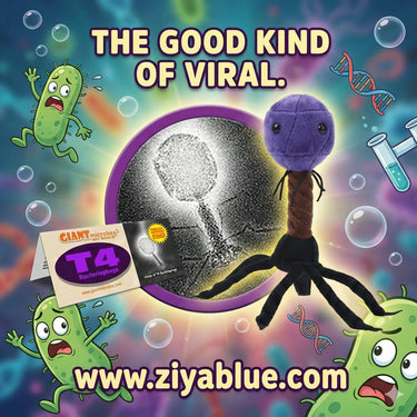 T4 Bacteriophage Plush – GIANTmicrobes Virus Hunter (Huggable Microbiology) - Ziya Blue