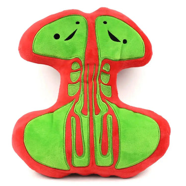 The "Breathing Buddies" Sinus Plushie & Pillow I Heart Guts