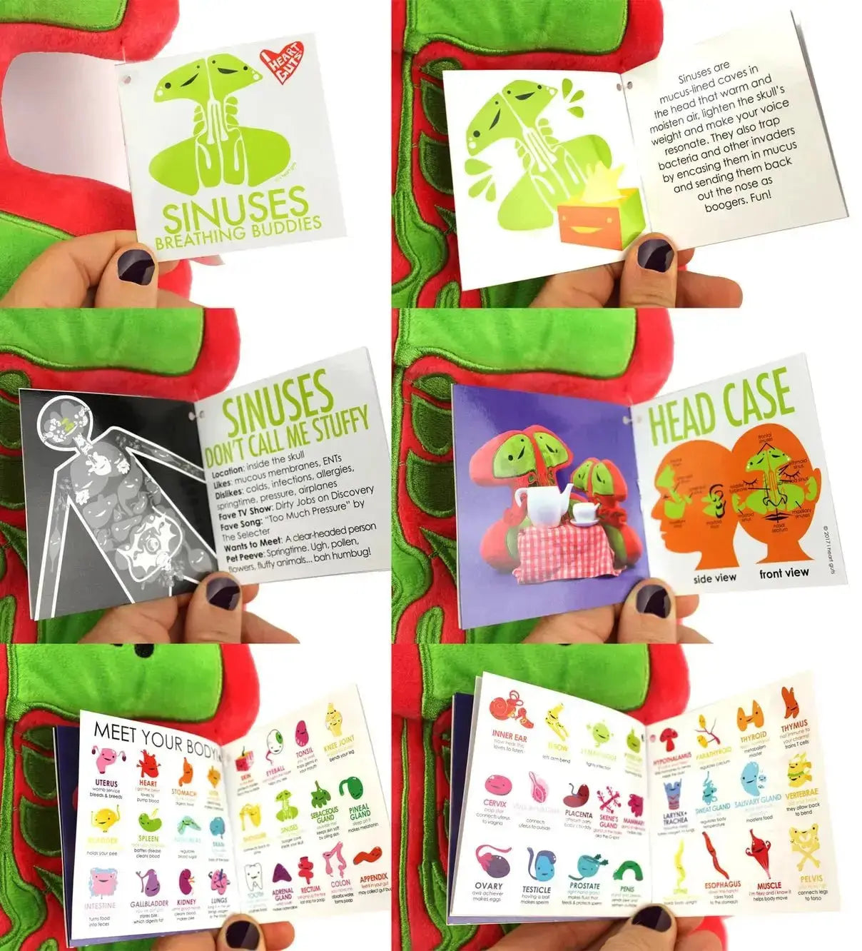 The "Breathing Buddies" Sinus Plushie & Pillow I Heart Guts