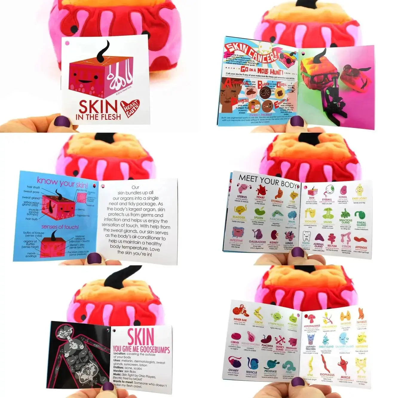 The "In The Flesh" Skin Plushie & Dermis Pillow I Heart Guts Ziya Blue