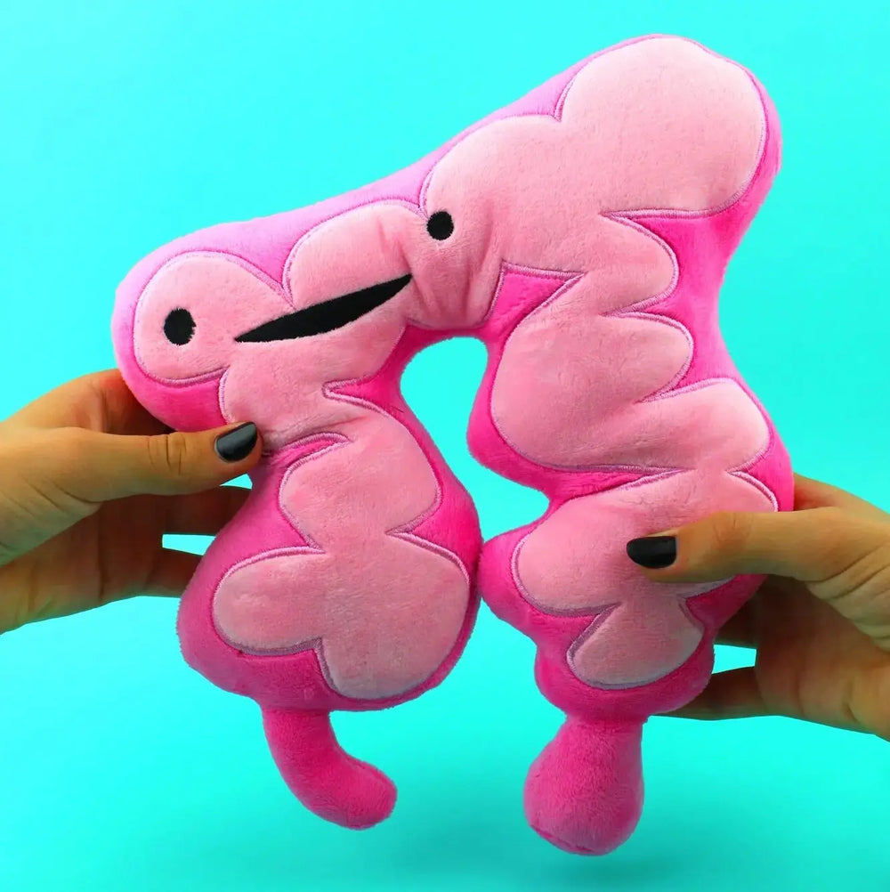 You Move Me: The Colon Plushie & Intestinal Pillow I Heart Guts