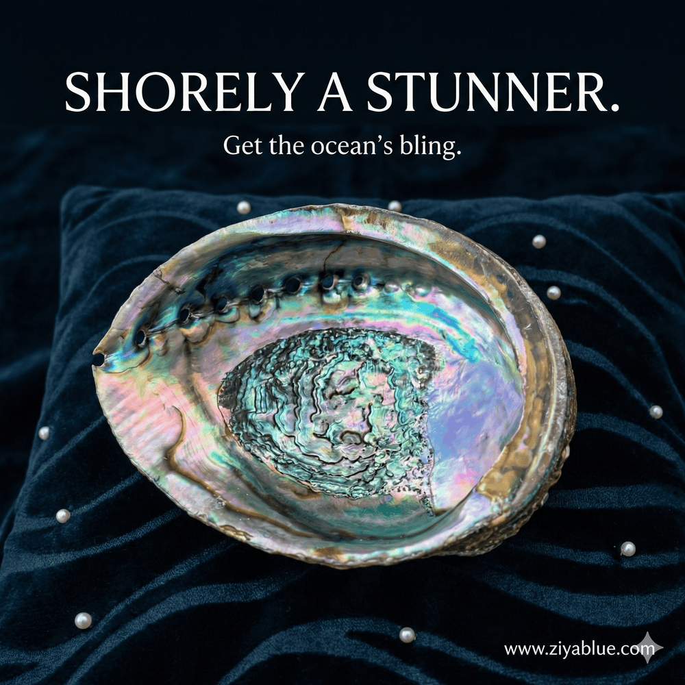 Abalone Shell for Smudging & Decor - Large 4 - 6.5" Iridescent Sea Shell - Witty Spiritual Gift - Ziya Blue