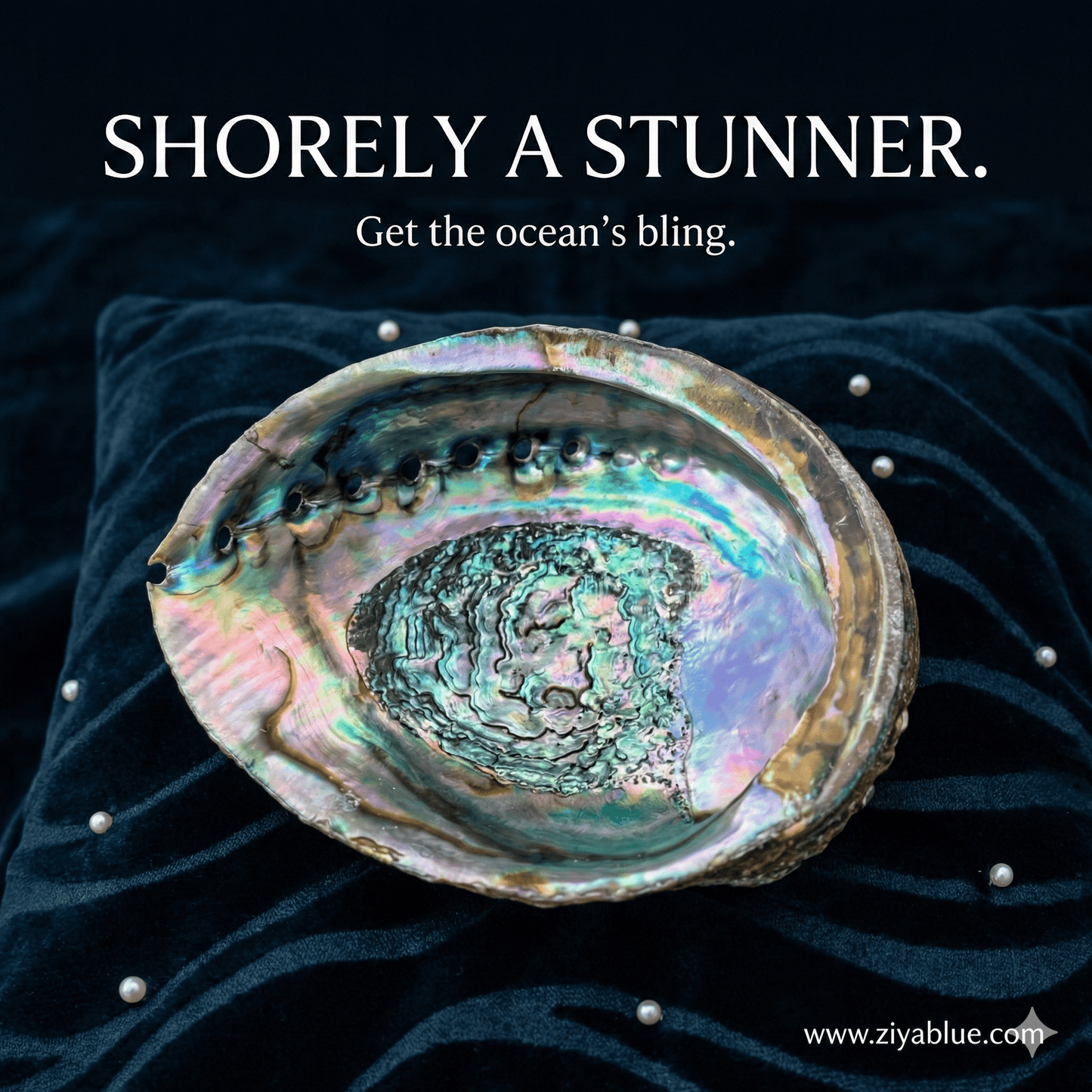 Abalone Shell for Smudging & Decor - Large 4 - 6.5" Iridescent Sea Shell - Witty Spiritual Gift - Ziya Blue