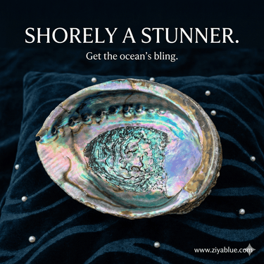 Abalone Shell for Smudging & Decor - Large 4 - 6.5" Iridescent Sea Shell - Witty Spiritual Gift - Ziya Blue