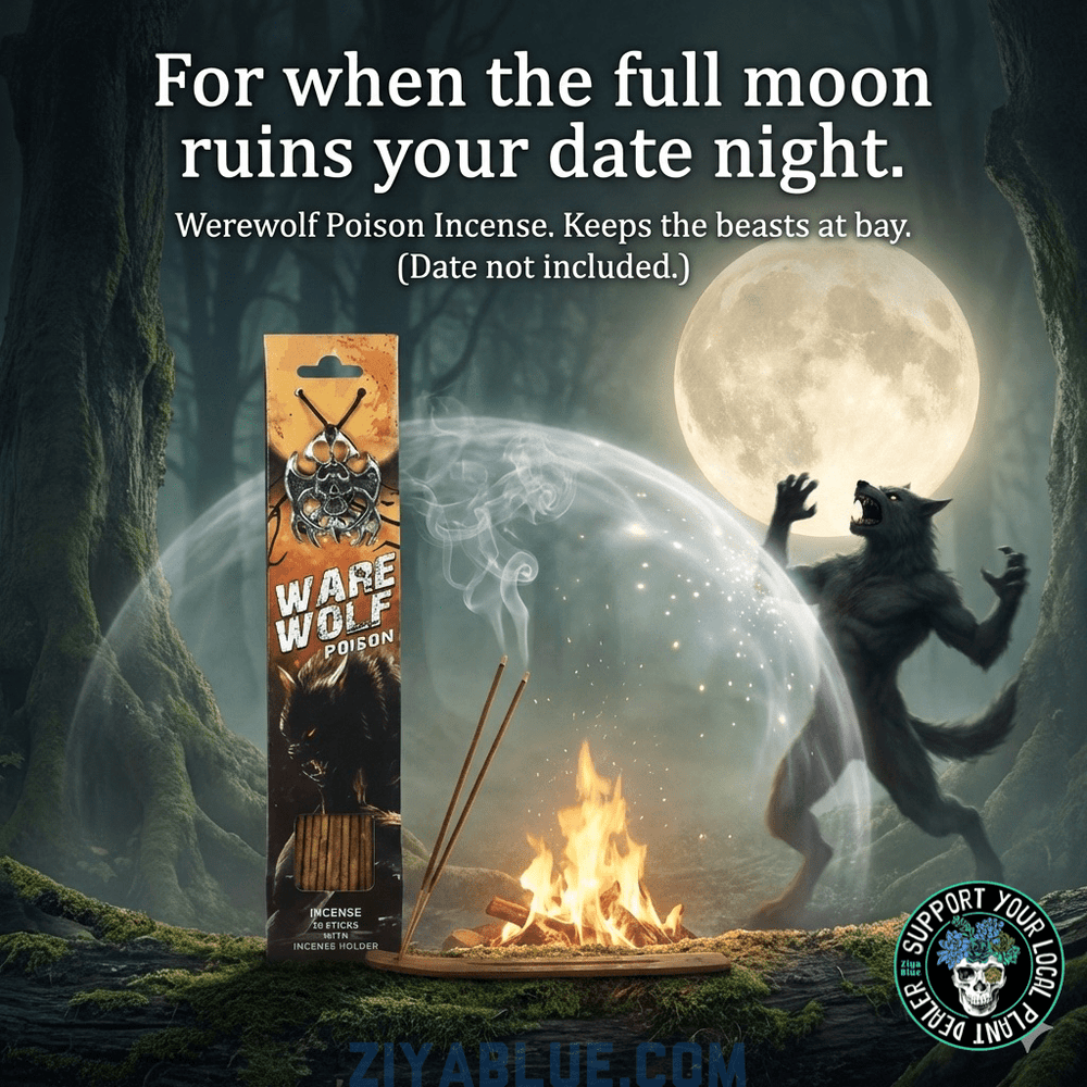 After Dark Gothic Incense Stick Werewolf Poison (vanilla) - Ziya Blue