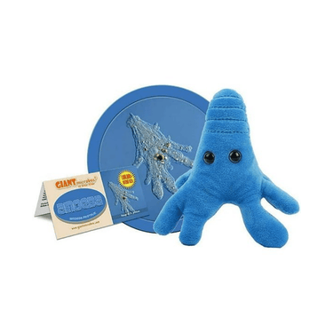 Amoeba Plush - Cuddle with Curiosity - Ziya Blue