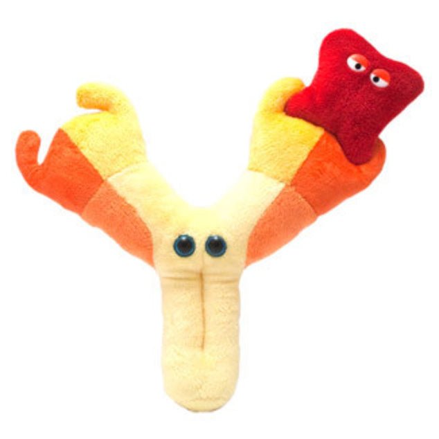 Antibody (Immunoglobulin) Plush - Ziya Blue