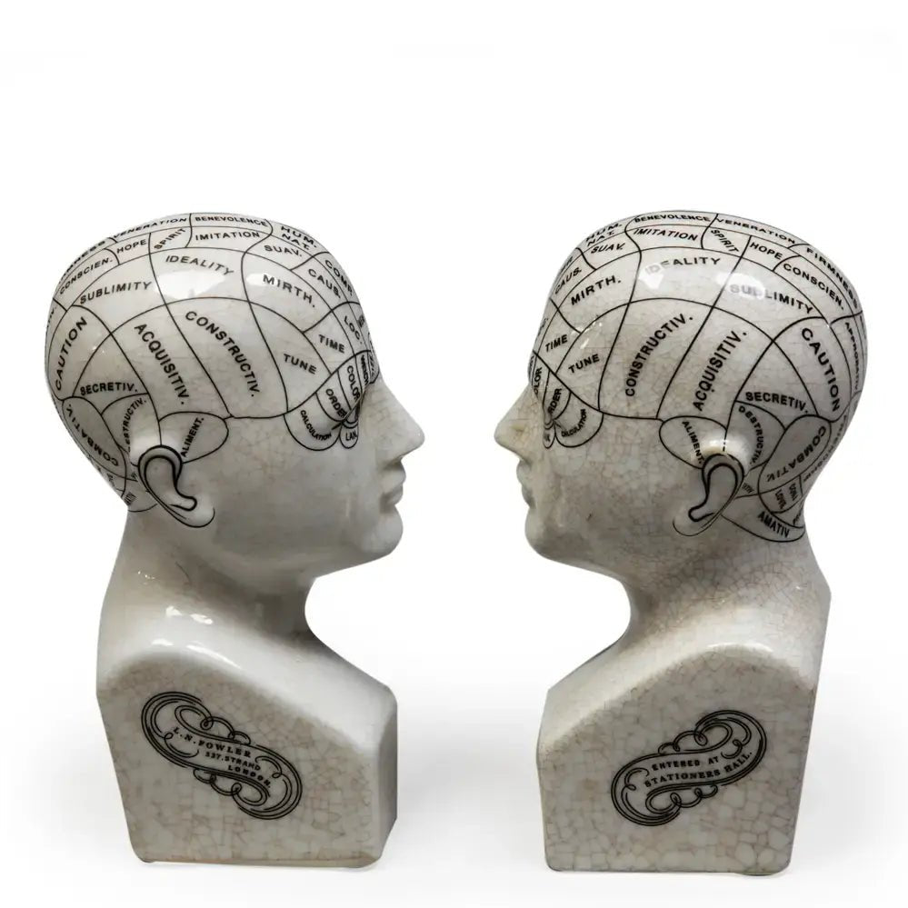 Antiqued Ceramic Phrenology Head Bookends - Ziya Blue