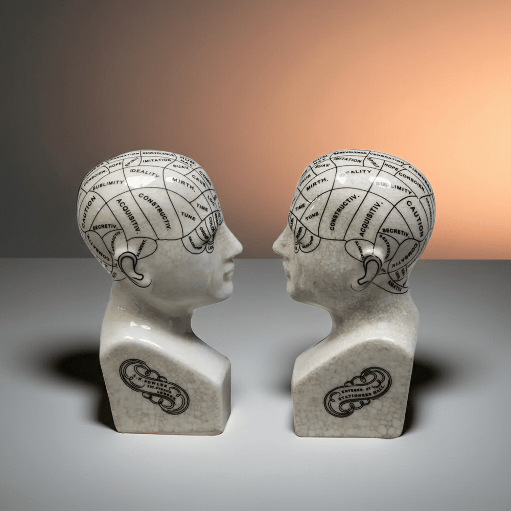 Antiqued Ceramic Phrenology Head Bookends - Ziya Blue