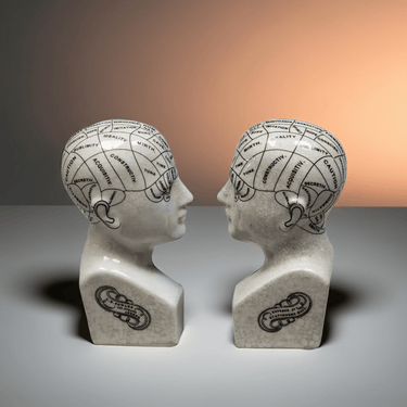 Antiqued Ceramic Phrenology Head Bookends - Ziya Blue