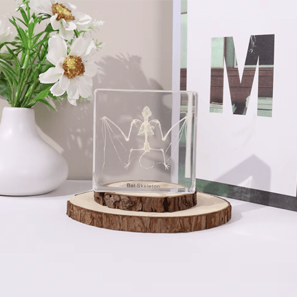 Bat Skeleton Sm - Real - Ziya Blue